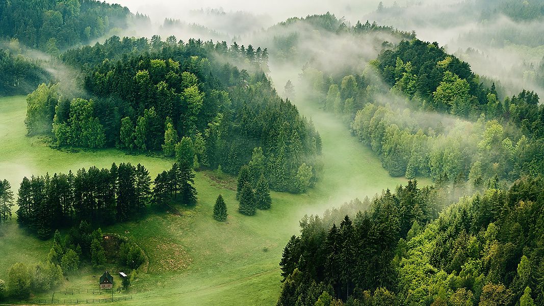 Rolling green valley with dense forests and a small cabin shrouded in soft morning mist